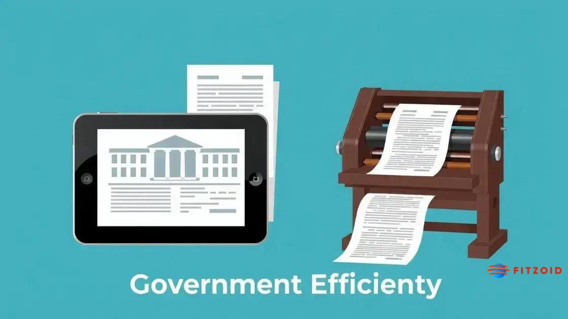Potential impacts on government efficiency